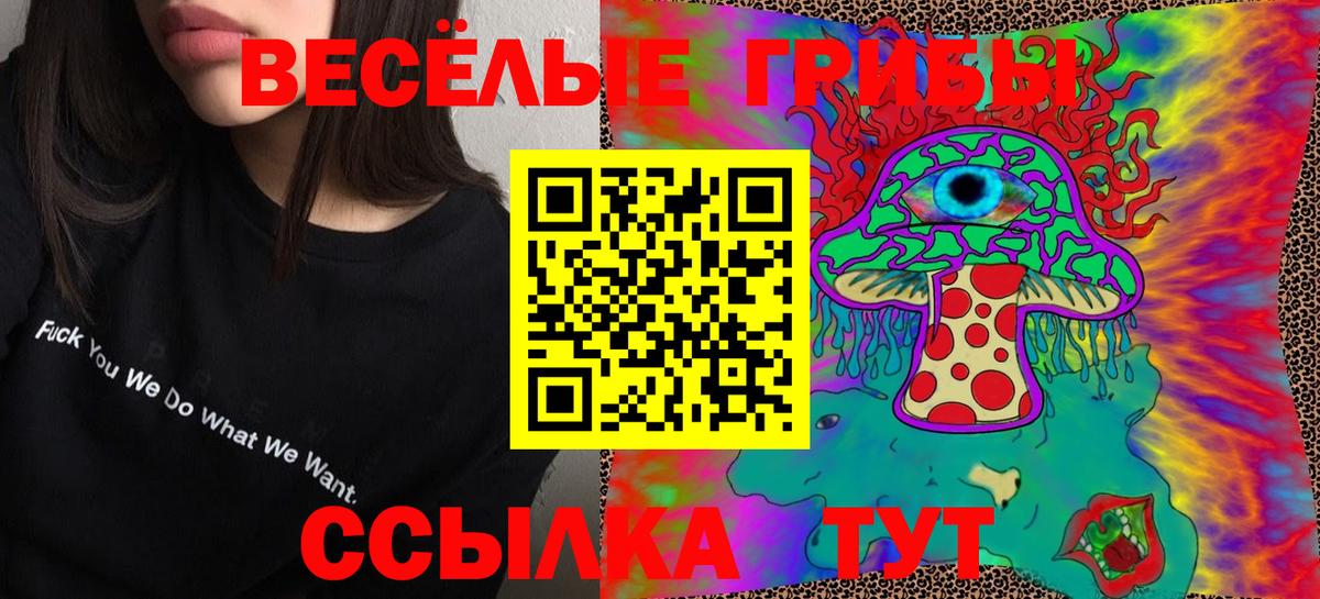 наркошоп  Вход с VPN  Псилоцибиновые грибы GOLDEN TEACHER  Богородск  Псилоцибиновые грибы ЛСД 